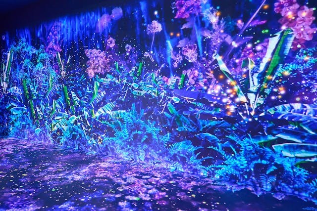 沉浸式光影展區
