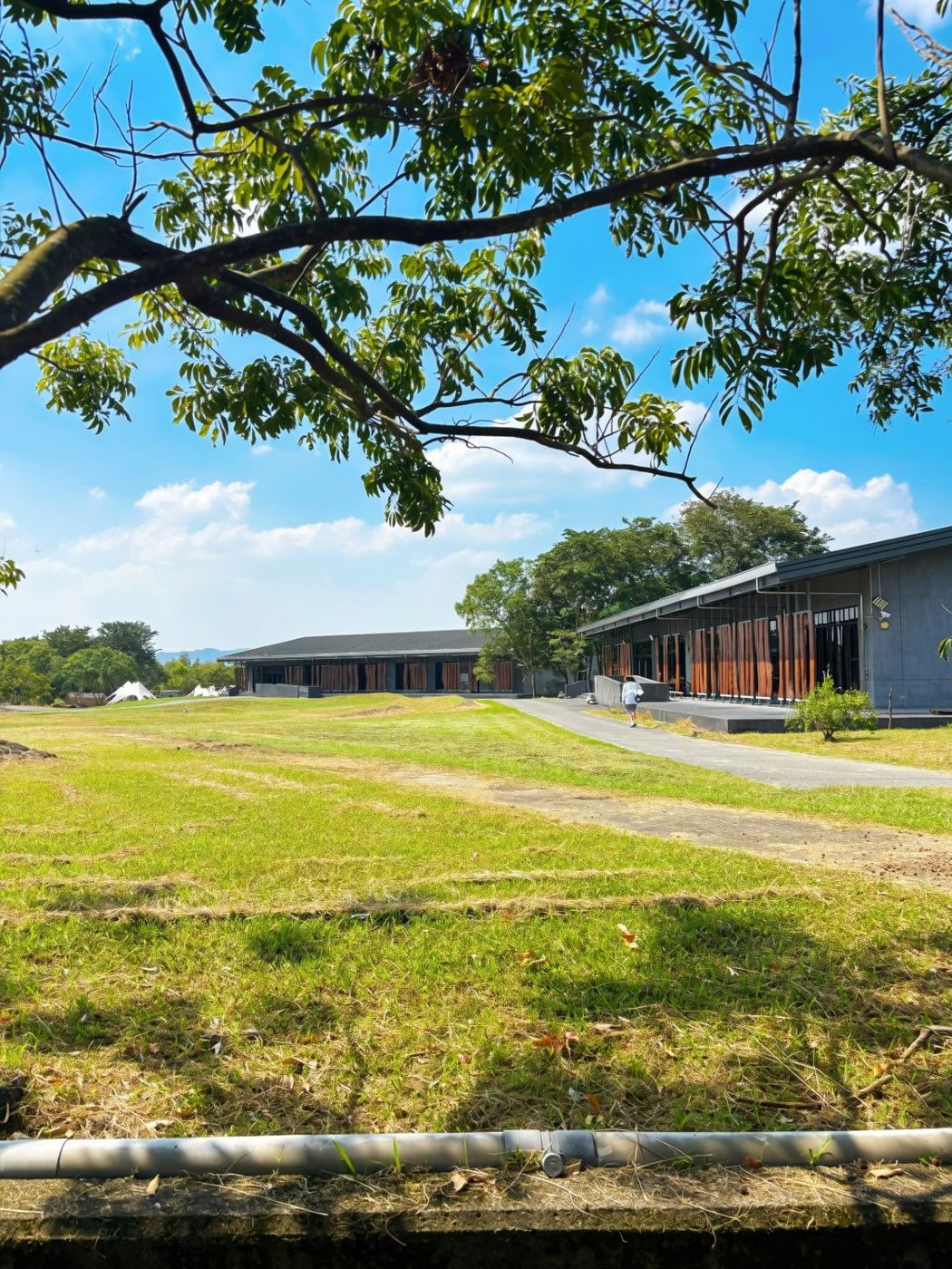 從樹枝下望出去的大草地，右邊是灰色牆面搭配木格柵的長形建築，遠方有白色帳篷和山，天空很藍。
