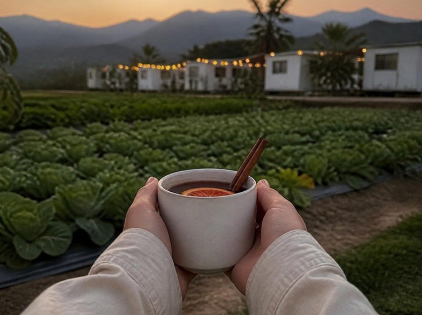 示意圖：雙手捧著一杯熱紅酒，杯裡有柑橘片與肉桂棒，背景是菜田與掛著燈串的白色露營車。