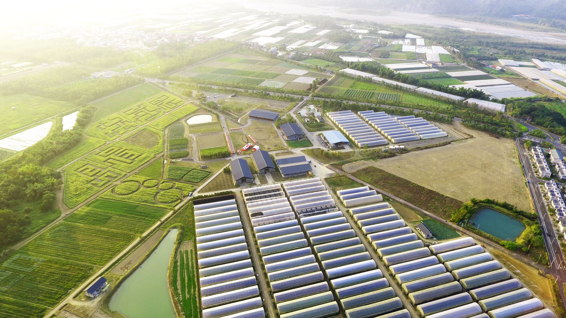 空拍的永齡農場：成排的溫室、田區、迷宮造型的作物田與水塘，遠方是河床與山。